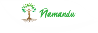 Ñamandu-E
